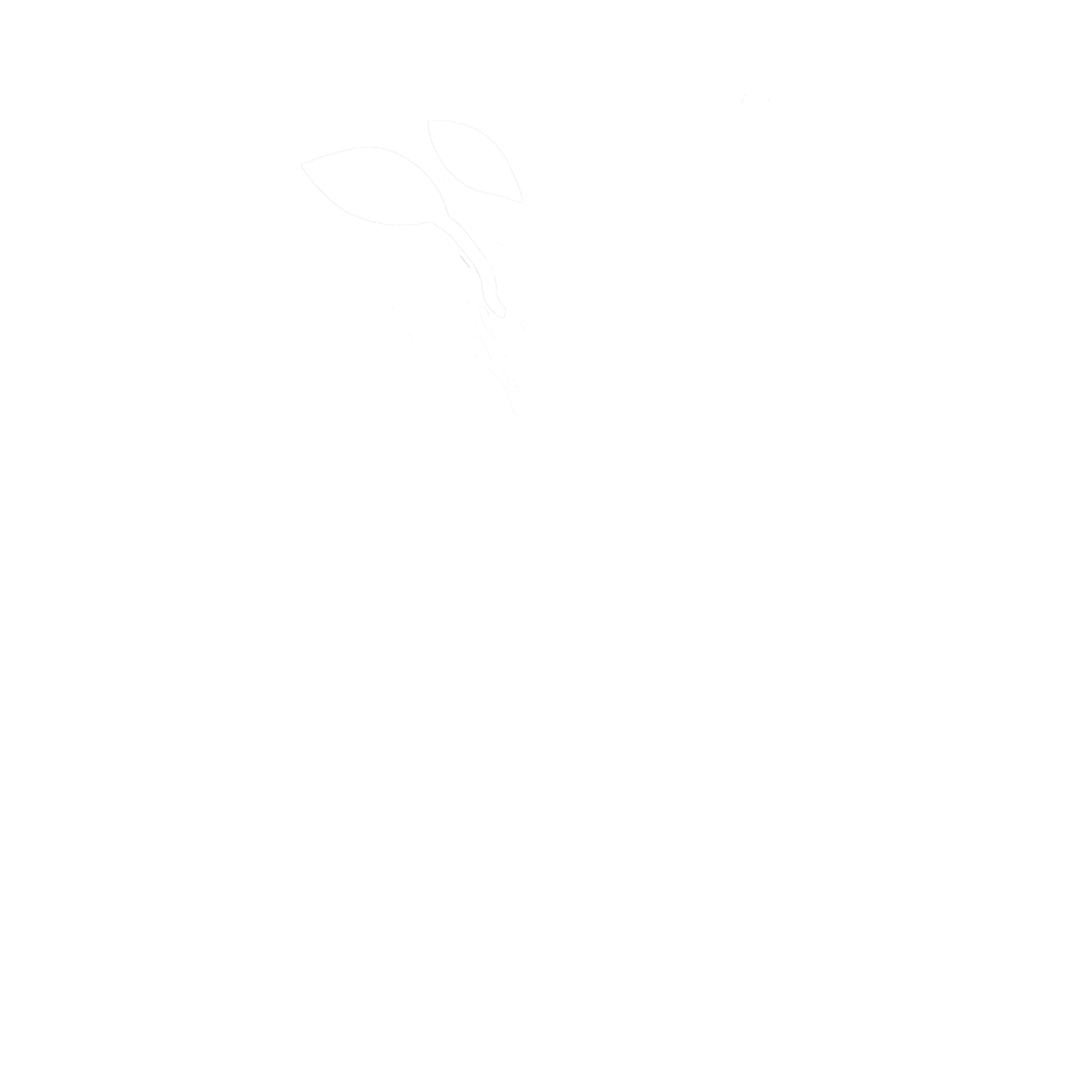 HONESTREE Studios